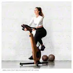 Image shows NOHrD bike ergometer oak