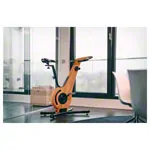 NOHrD bike ergometer cherry wood