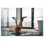 NOHrD bike ergometer walnut