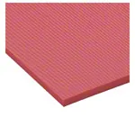 AIREX gymnastic mat Atlas, LxWxH 200x125x1.5 cm