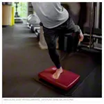 Image shows AIREX gymnastic mat Fitline 180, LxWxH 180x60x1 cm