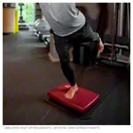 AIREX Balance-Pad Cloud