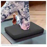 Image shows AIREX Balance-pad Elite