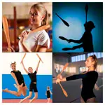 Gymnastic Club made of hardwood, 40 cm