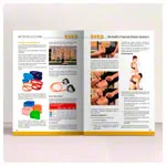 Image shows Book Richelli's Fascial Reset System (RFRS) - Therapeutic Exercises for Quadrants and Myofascial Chains, 196 pages