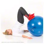 TOGU Exercise ball Powerball ABS,  45 cm,