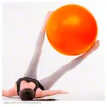 PEZZI gymnastics ball,  53 cm