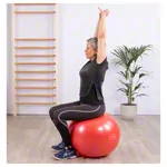 Sit'n Gym sitting ball,  55 cm, red