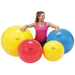GYMNIC exercise ball,  55 cm, red