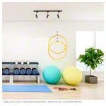 Image shows Suspension equipment for gymnastics hoop