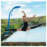 Exercise band with rod, 4 m
