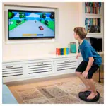 Image shows BoBo balance board  Home 2.0