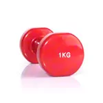 Dumbbell, 1 kg, red, 1 piece