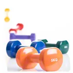 Hand-held dumbbells, 5 kg, orange, one piece