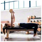 NOHrD Training Bench, WeightBench, Club, Leatherette