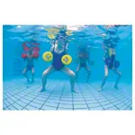 BECO Aqua Disc SZ,  25 cm, pair