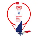 Wilson basketball ring  45 cm, inc. net