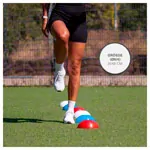 Marker hemisphere with holder,  20 cm, set of 40