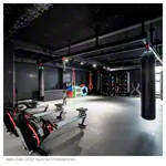 PAVIGYM sidebar for Performance+, 100x10x0,5 cm