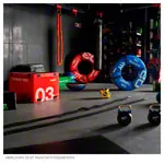 PAVIGYM sidebar for Performance+, 100x10x0,5 cm