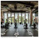 PAVIGYM sidebar for Performance+, 100x10x0,5 cm
