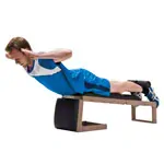 NOHrD Abdominal and Back Trainer Triatrainer, nut tree, pleather