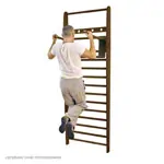 Image shows NOHrD Multi-Adaptor nut tree, for Wall-Bars