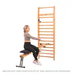 Image shows NOHrD Combi-Trainer for wall bars, ash