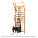 Image shows NOHrD Combi-Trainer for wall bars, ash