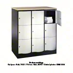 Locker Resisto with 9 compartments, HxWxD 125x115x54 cm
