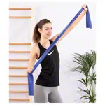 Image shows Deuser Physio Band 25 m x 15 cm, thick, blue