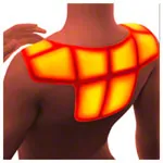 Thermopad neck warmer XXL, box of 3