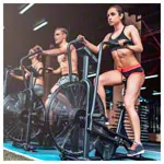 ASSAULT FITNESS AirBike Classic