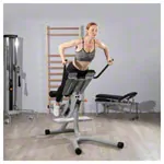 Sport-Tec rear torso lift