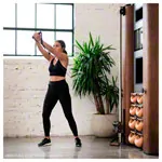 NOHrD Wall Compact, pulley, ski trainer, 8 swing dumbbells, oak