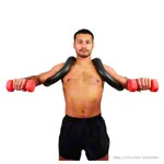 Shoulder horn shoulder trainer