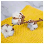 Image shows Pique-ceiling with decorative stitch bordering, 210x150 cm