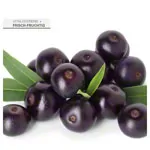 Image shows Massage Oil Acai, 5 l