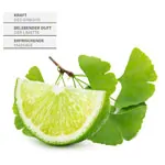 Image shows Massage Oil Ginkgo Lime, 1 l