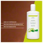 Image shows Massage Oil Ginkgo Lime, 1 l