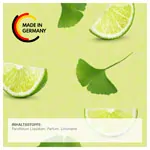 Image shows Massage Oil Ginkgo Lime, 1 l