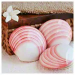 Image shows LavaShell Porcelain Massage Shell