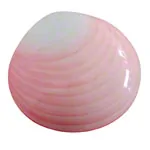 Image shows LavaShell Porcelain Massage Shell