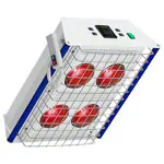 Red light emitters TGS Therm 4 wall model incl. dimmer