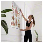 Wall chart - Autonomic Nervous System - , LxW 100x70 cm