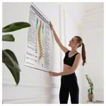 Wall chart - Dorntherapie - , LxW 100x70 cm
