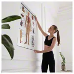 Wall chart - The Vascular System - , LxW 100x70 cm