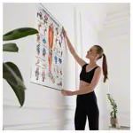 Wall chart - Lower limb - , LxW 100x70 cm