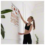 Posters - hand muscles - L x W 70x50 cm