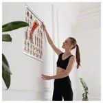Poster - Foot muscles - L x W 70x50 cm